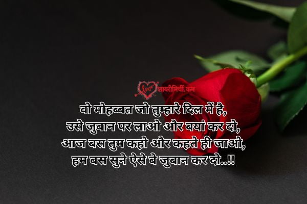 true love shayari photo in hindi