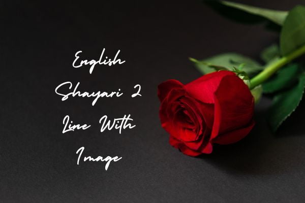 English Shayari 2 Line With Image