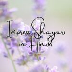 Impress Shayari in Hindi