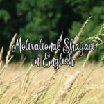 Motivational Shayari in English